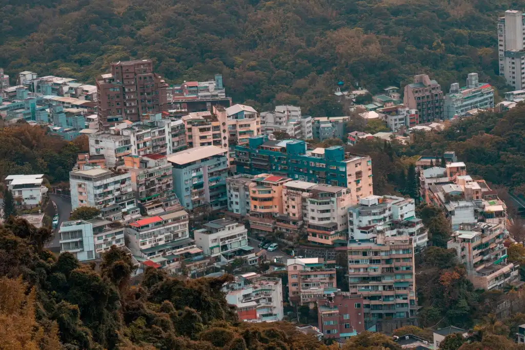 沙坪坝区休闲零食市场趋势分析：进口食品与本土零食的差异化经营
